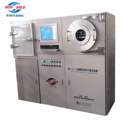 High efficiency food vacuum freeze dryer machine for apple