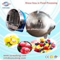 low temperature fruit and vegetable vacuum freeze drying machine / Industrial freeze dryer